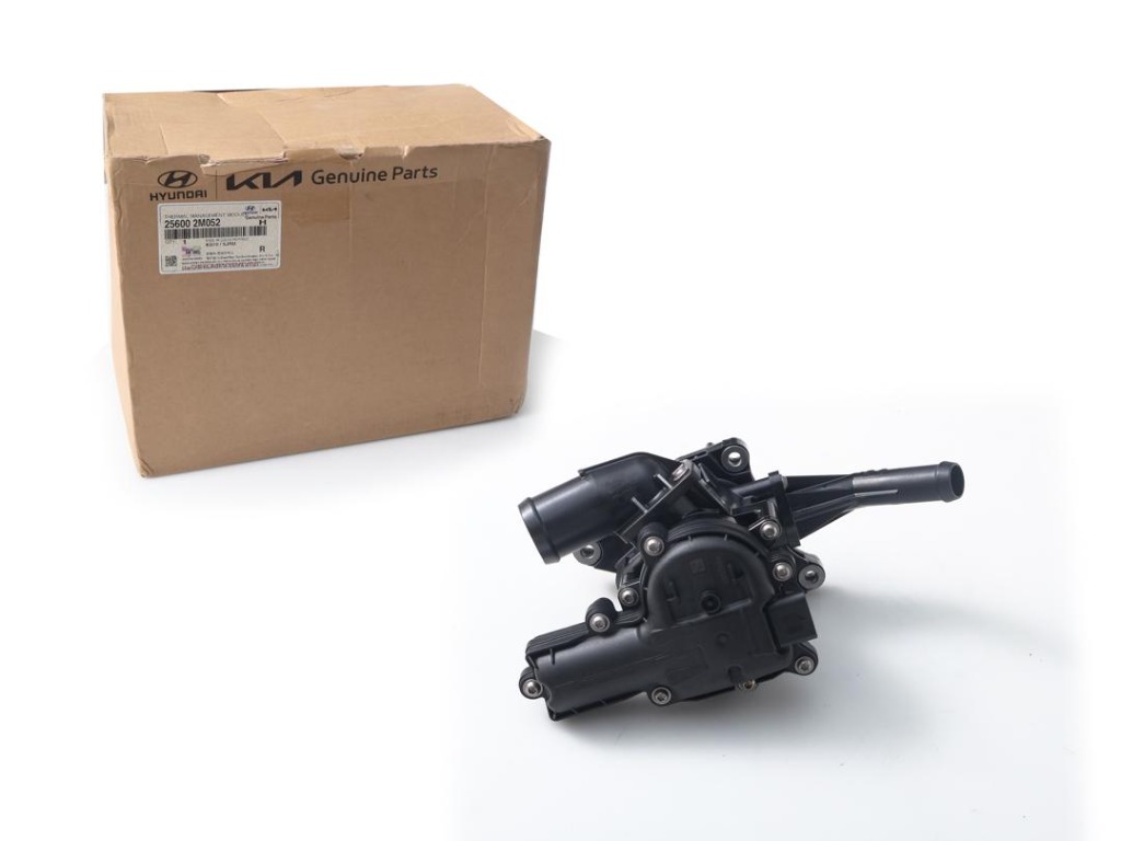 Water Pump Assembly